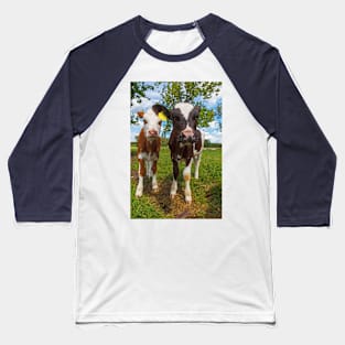 Two cows looking at camera Baseball T-Shirt